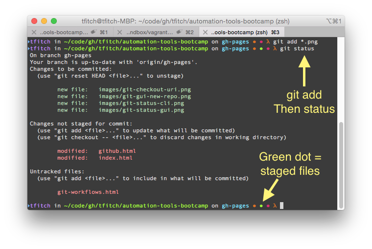 git add and status from the command line